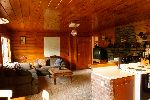 Woodster cabin living room